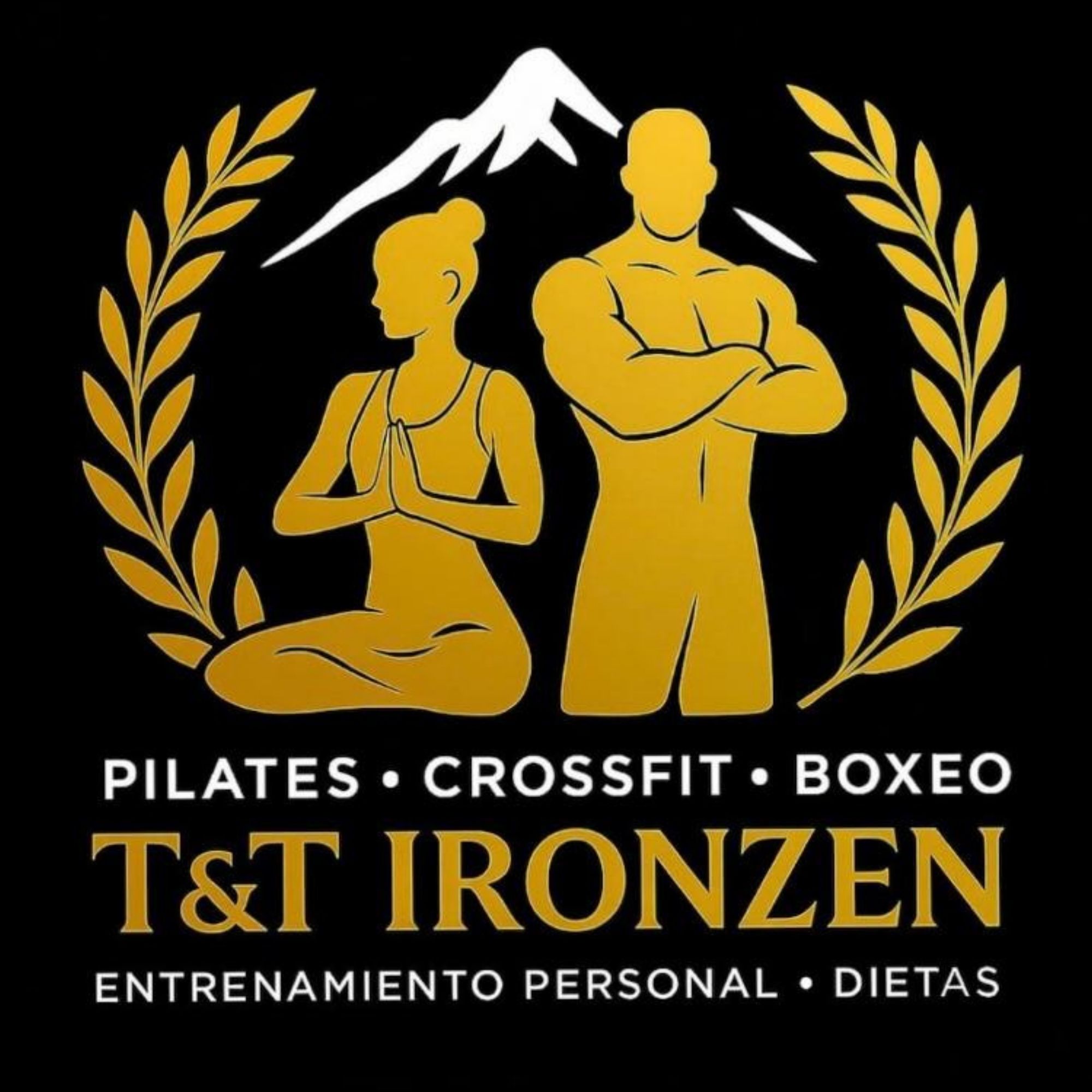 Logo T&T Ironzen
